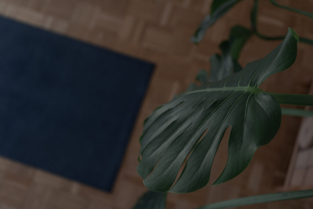 Yogamatte neben einer Monstera auf einem Holzboden.